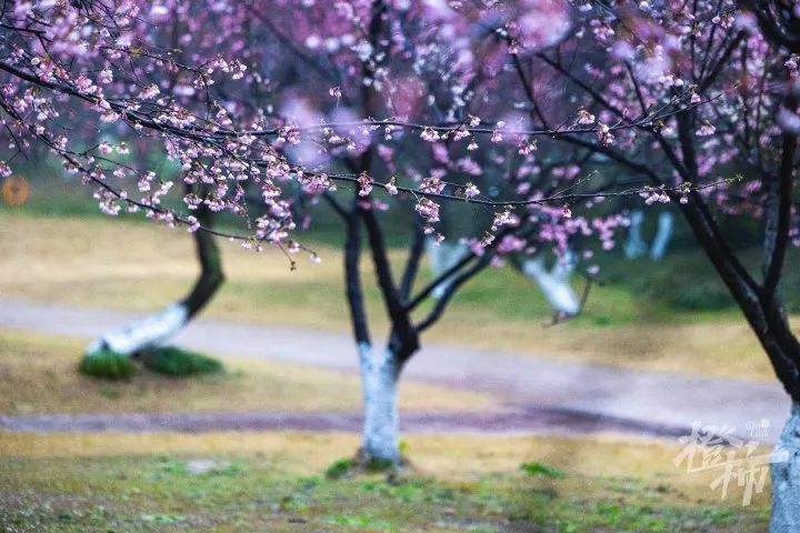 8b38db7e971115915f961eddd1b70667_640_wx_fmt=jpeg&from=appmsg&wxfrom=5&wx_lazy=1&wx_co=1.jpg 8b38db7e971115915f961eddd1b70667_640_wx_fmt=jpeg&from=appmsg&wxfrom=5&wx_lazy=1&wx_co=1.jpg