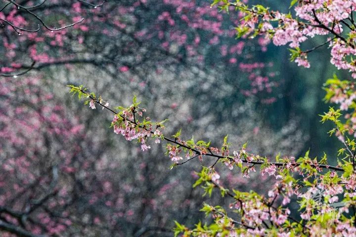 1b1ee39632bf2442f18161fc1dac3773_640_wx_fmt=jpeg&from=appmsg&wxfrom=5&wx_lazy=1&wx_co=1.jpg 1b1ee39632bf2442f18161fc1dac3773_640_wx_fmt=jpeg&from=appmsg&wxfrom=5&wx_lazy=1&wx_co=1.jpg